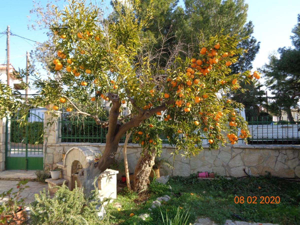 Traditional Guesthouse Asimakis Anifion Экстерьер фото