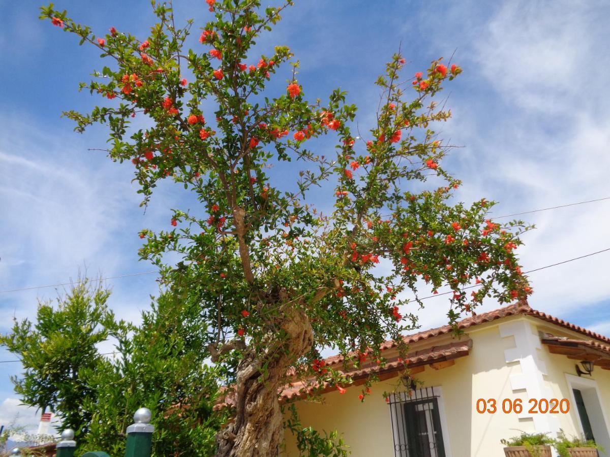 Traditional Guesthouse Asimakis Anifion Экстерьер фото